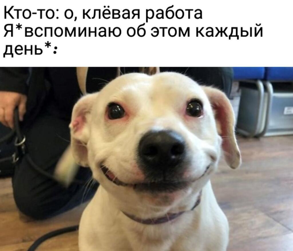 Мем от Mishutkaᐖ [ПЛМ]
