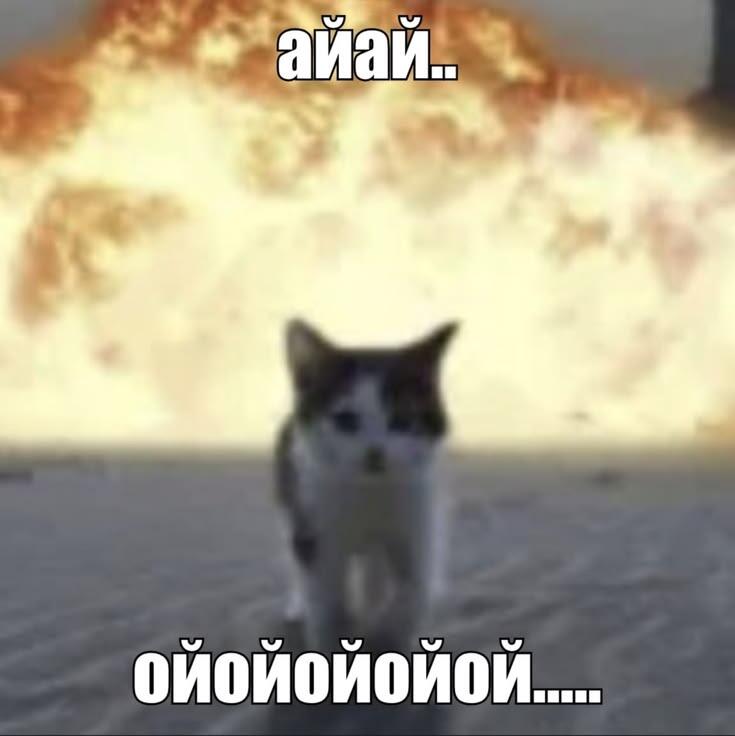 Мем без подписи
