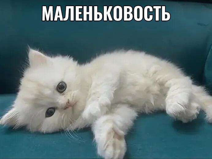 Психолог: на что жалуемся?
Я: