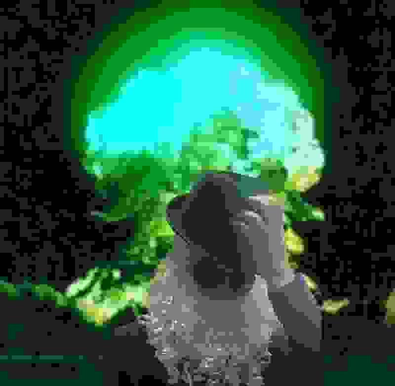 Легендарный камбек