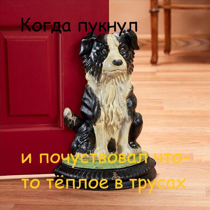 Мем от Сергей(ВК: @seryoga0245)