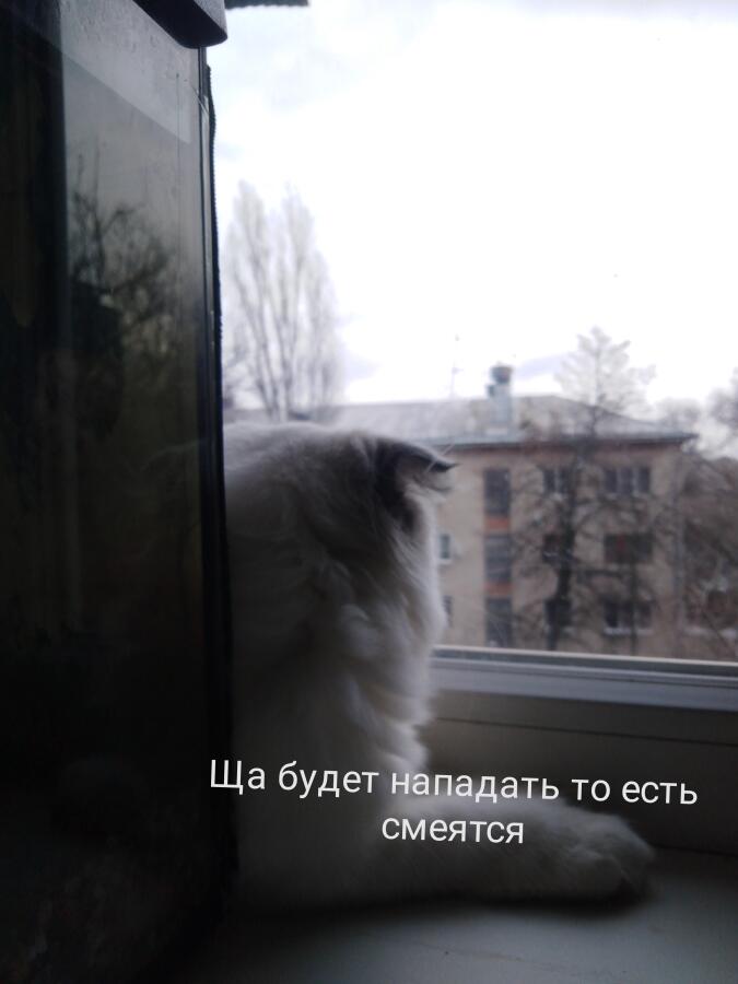 а у вас тоже есть такой друг который бесит вас но смеётся? 
 Если честно то этот друг я