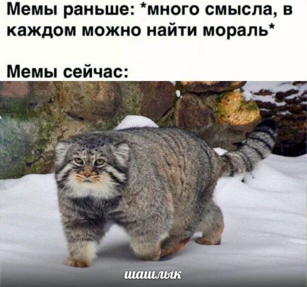 Мем без подписи