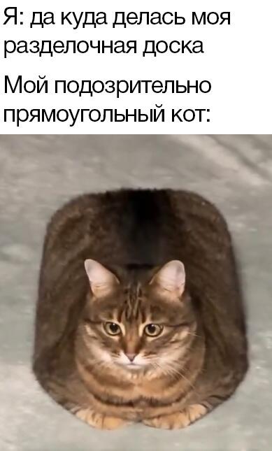 Мем без подписи