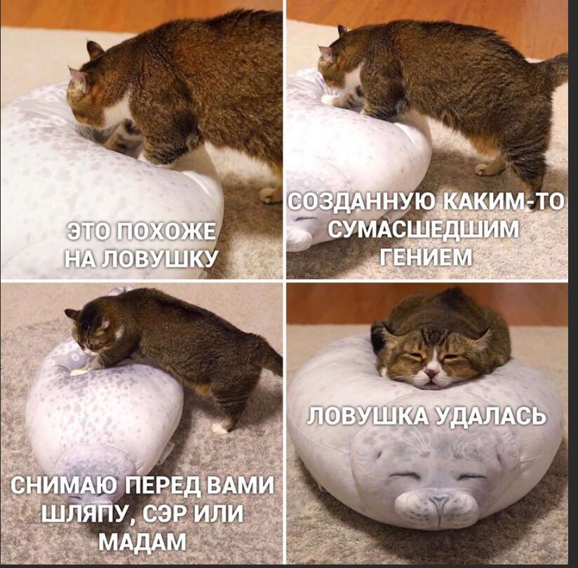 Мем от Капибара