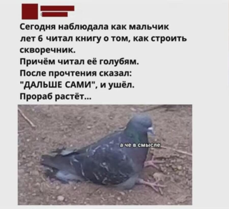 Смышленный парень растет