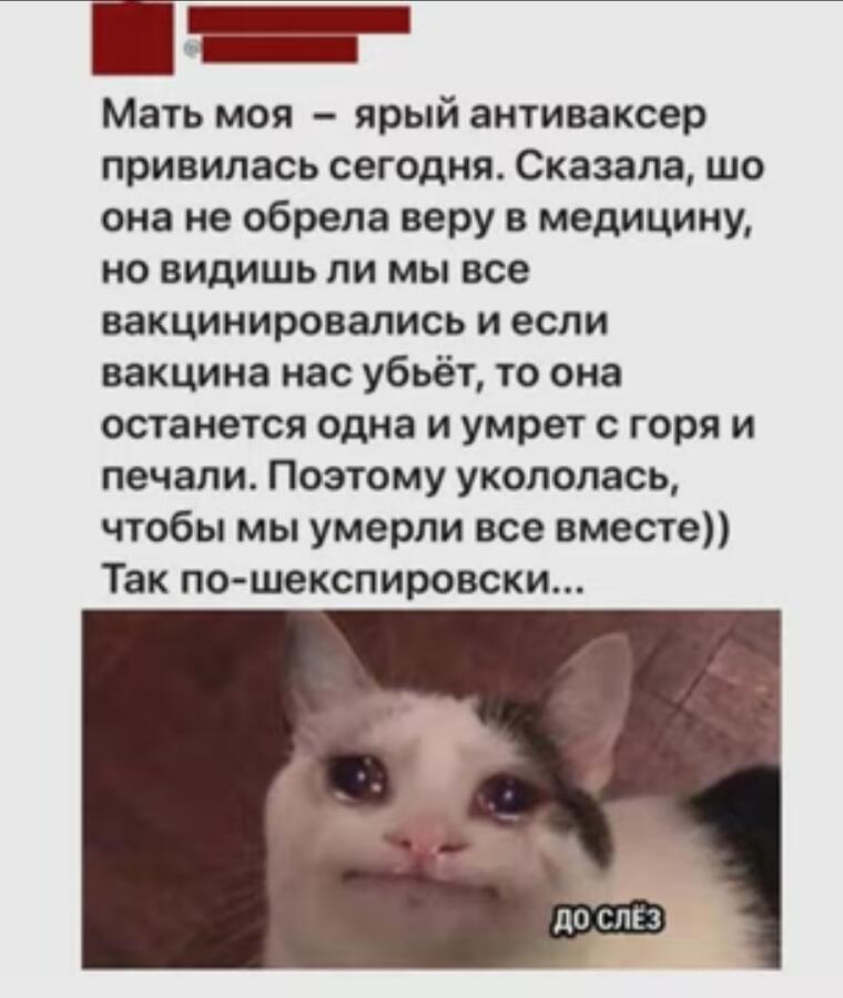 Сюжет достойный какой-нибудь драмы