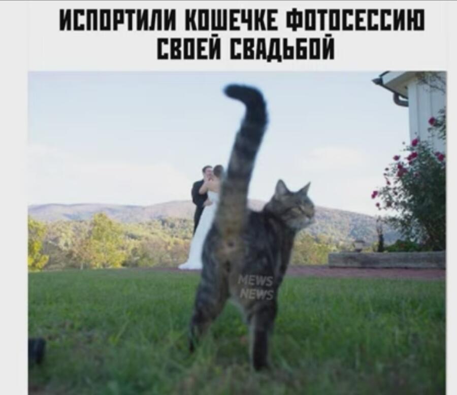 Мем от Lena
