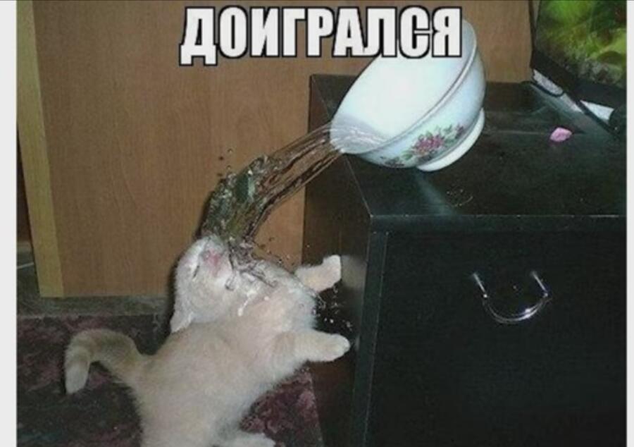 Мем от Lena