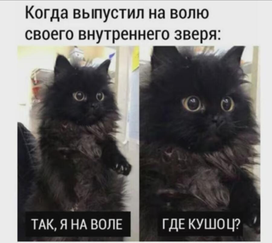 Какой милый внутренний зверь🥰