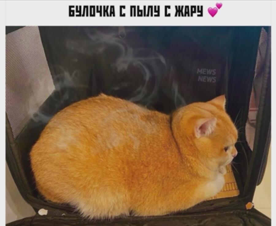 Просто😍
