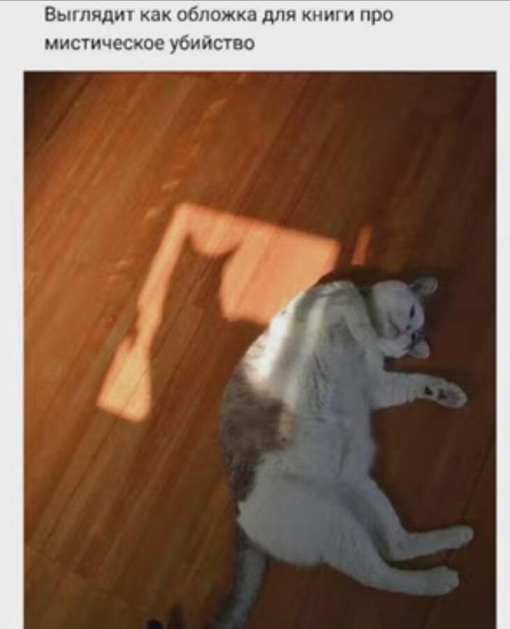 Его котейшейство был повержен призраками😸👻