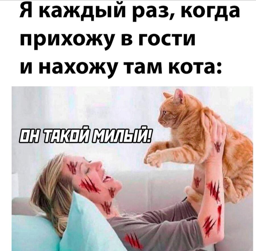 Действительно милый