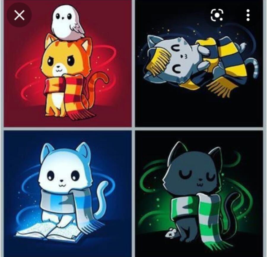 Котики🥰