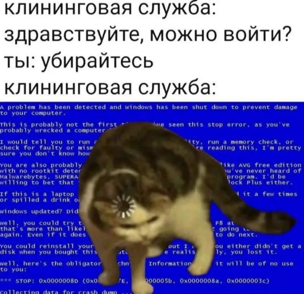 Кот стоит на фоне синего экрана с английским текстом, на его морде значок загрузки, сверху шутка про клининговую службу