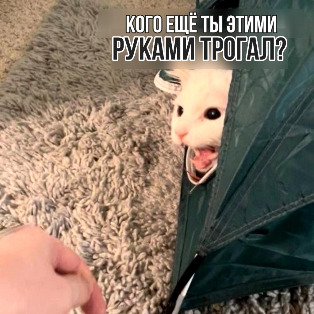 Мем без подписи