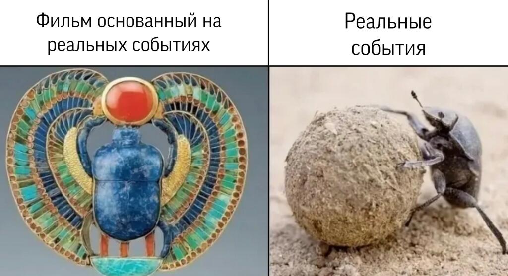 Мем от ШмелеКот [ПЛМ]