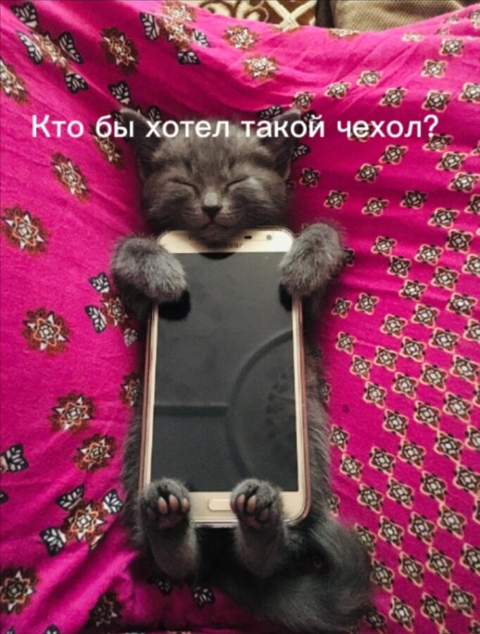 Я бы не отказался от такого, а вы?