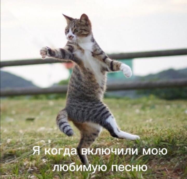 Мем от Ver1f