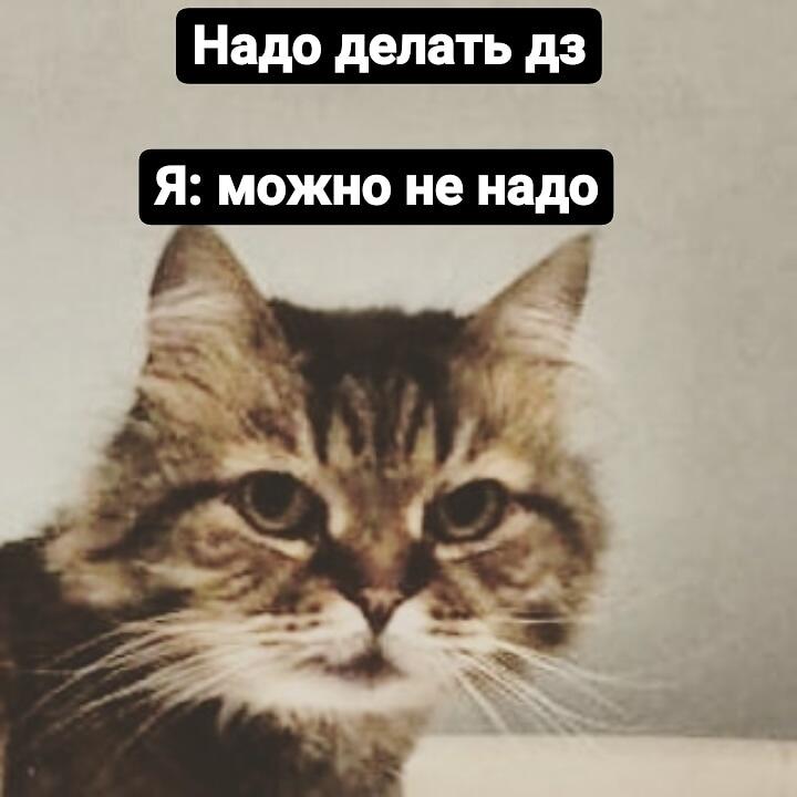 Я во время дз