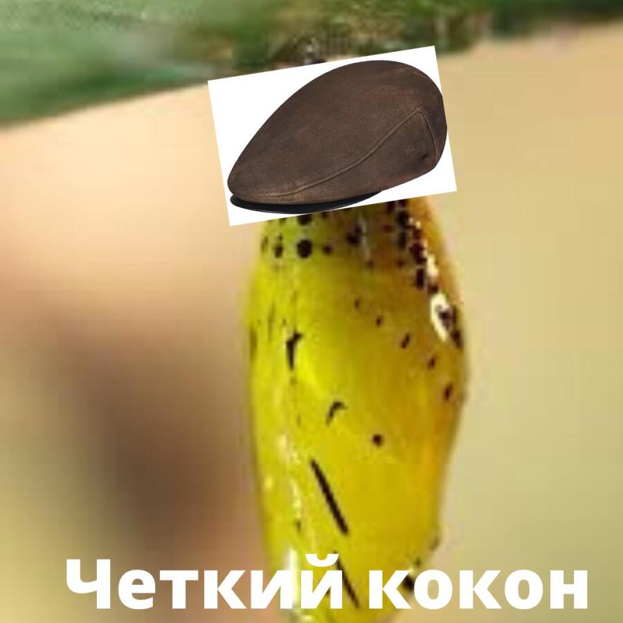 Мем от Инквизиция мемов