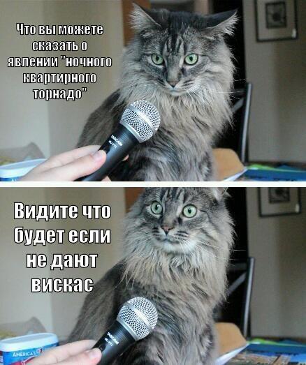Мем от Инквизиция мемов