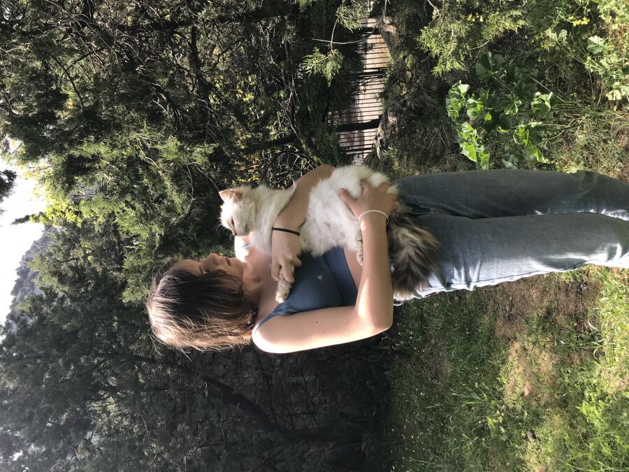 Гуляли с подругой и увидели очень милого кота. Естественно мы не растерялись и начали его тискать. Тогда она попросила с