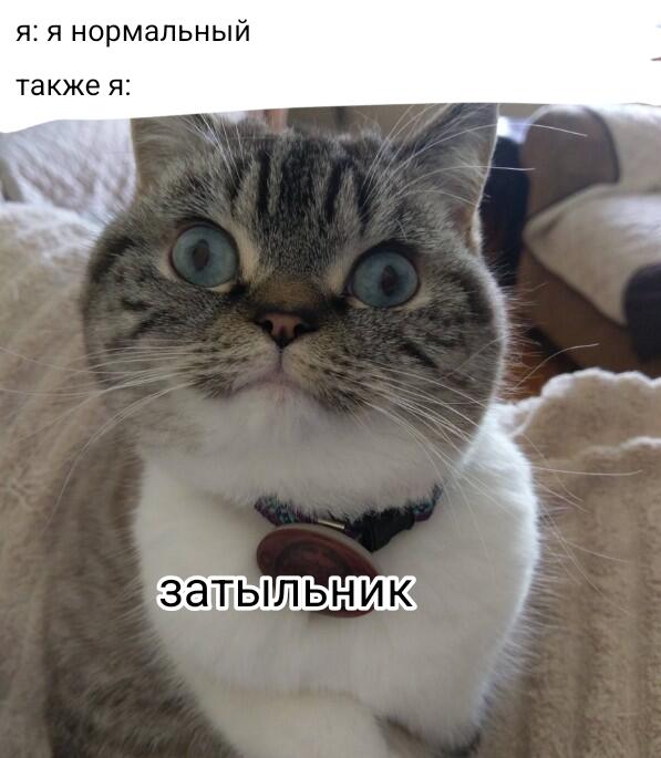 Мем от Daniil
