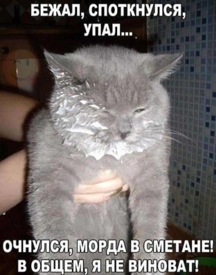 Мем от Мемный_сычик