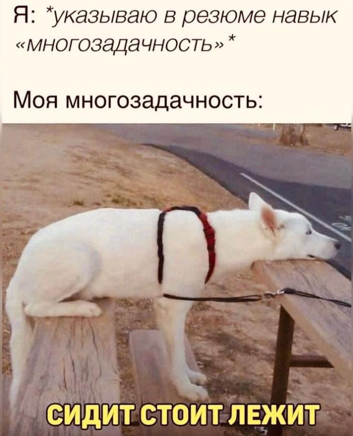 Мем от Мемный_сычик