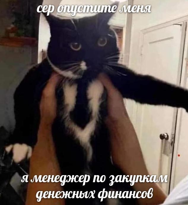 Надо бы закупить деньги
