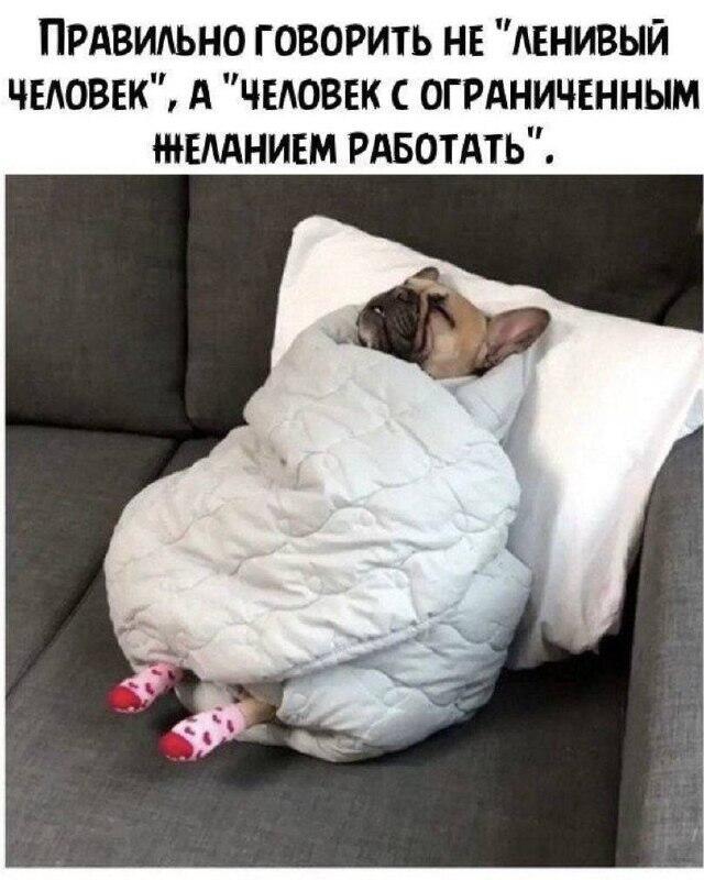 Мем от ГУП "НМТ"