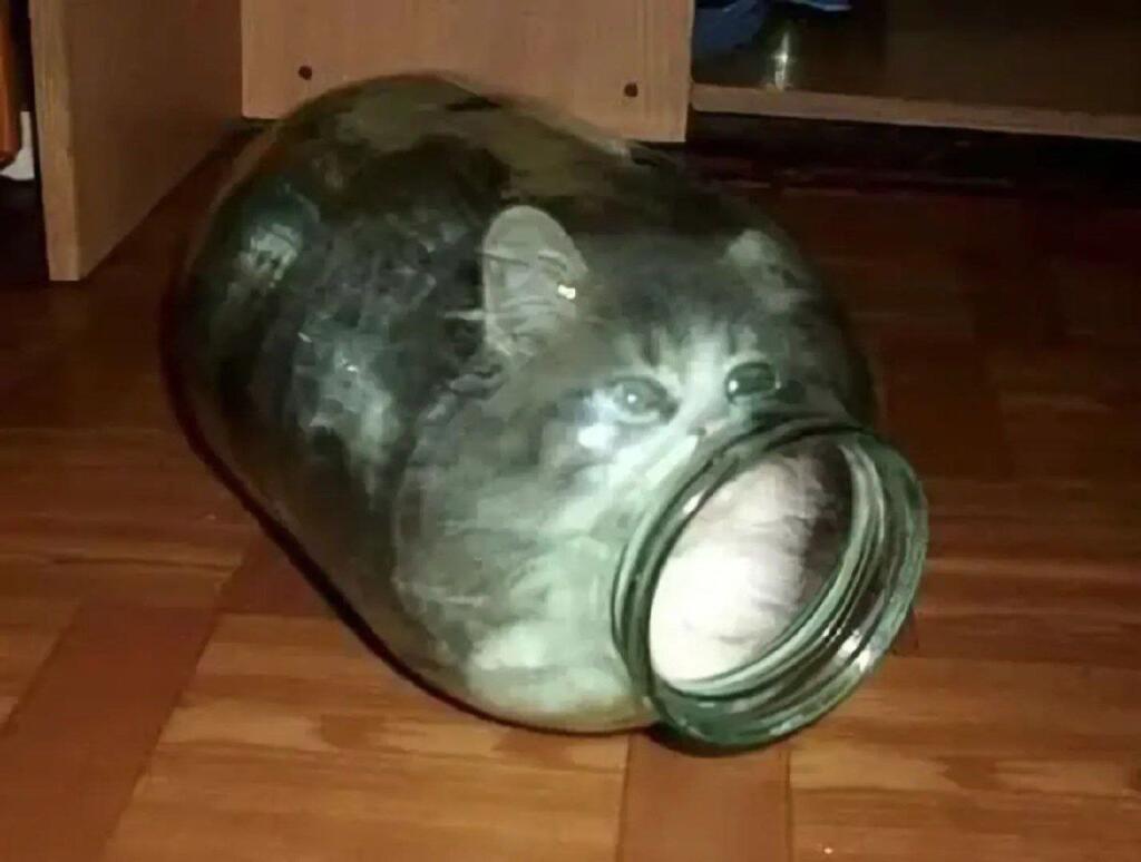 Котобанка