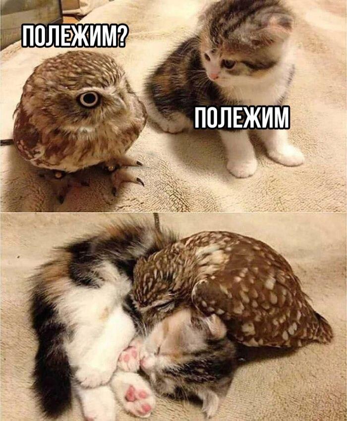 Мем от Батя
