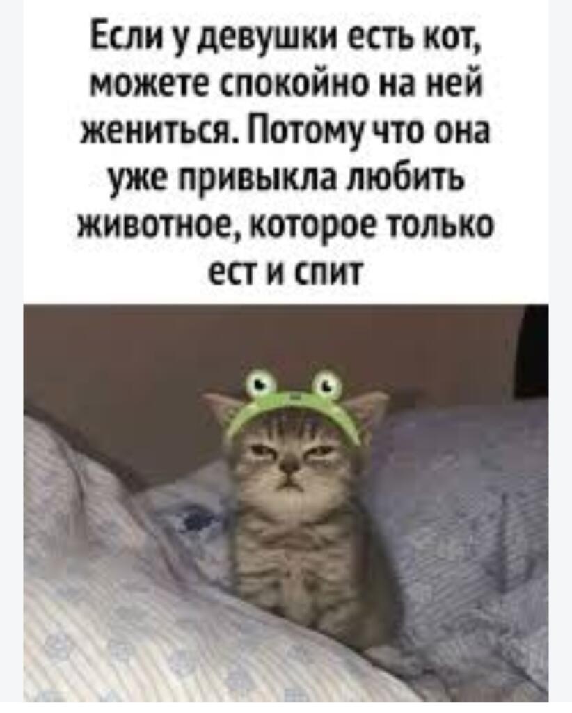 Мем без подписи