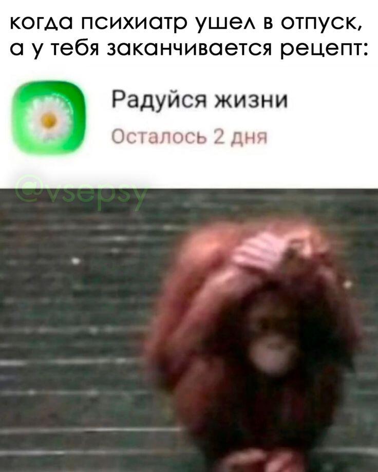 Обезьяна держится за голову, надпись: когда психиатр ушёл в отпуск, а у тебя заканчивается рецепт