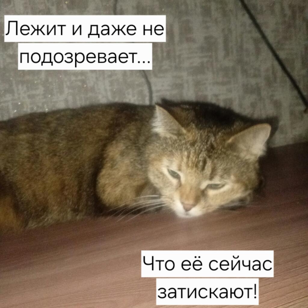 Мем от Максим Котович