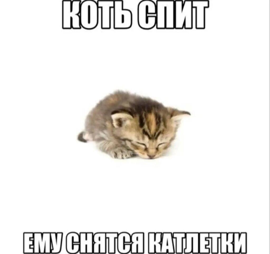 Мем от _утка_шутка_