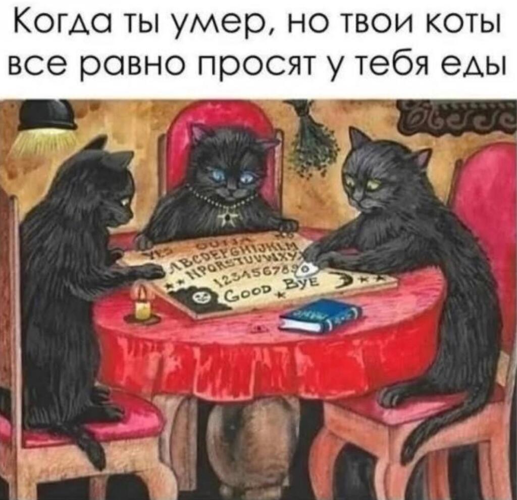 Держите мем (да, я знаю , вы накинете на него 999 дизлайков потому что теперь можно делать видео и так далее ... )