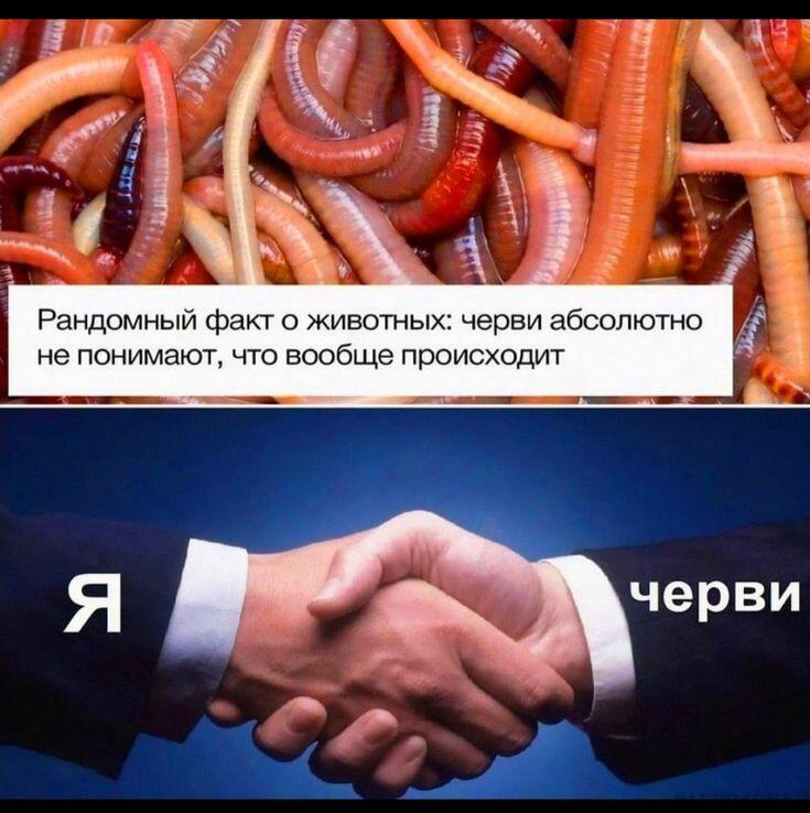 Мем от Ироник{ПЛМ}