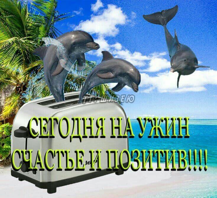 Мем от 🌸💥|цвяточный ад {ПЛМ}