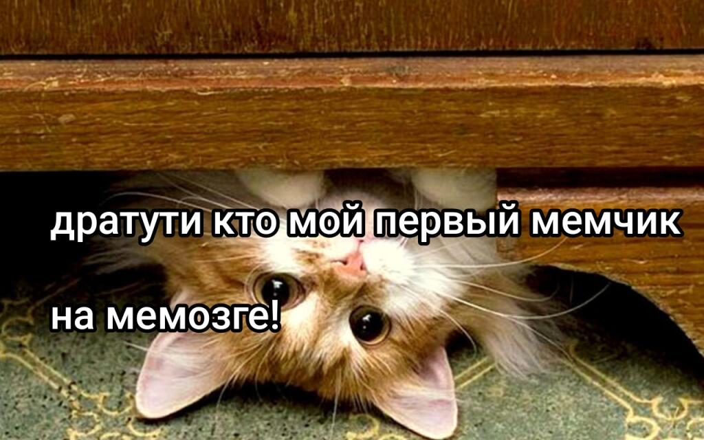 Надеюсь заметите