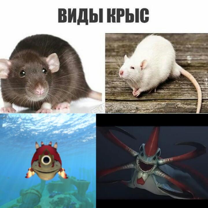 Наконец то смешной мем