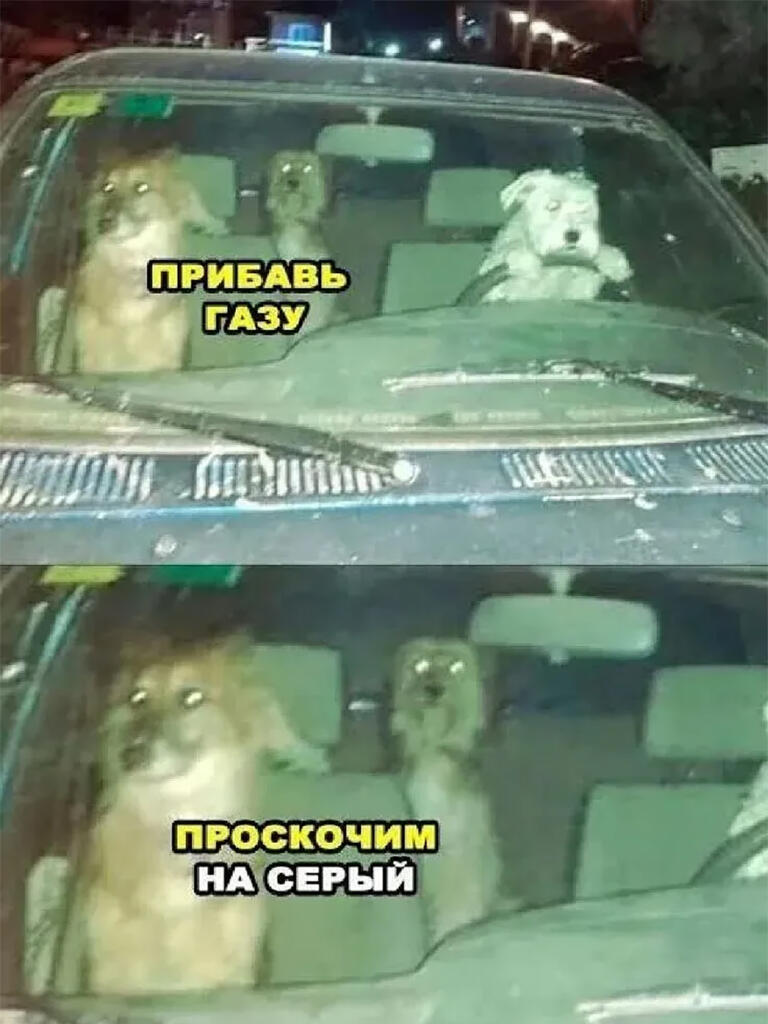 Мем от I.C.E