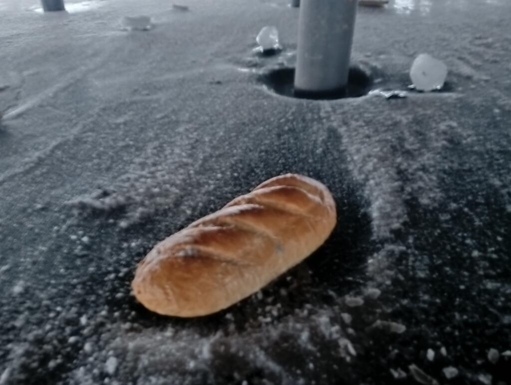 Короче, решил я проползти под мостом, и вы не угадает что я там нашел...
Я ТАМ НАШЁЛ ГРЕБАНУЮ БУХАНКУ ХЛЕБА!!!!