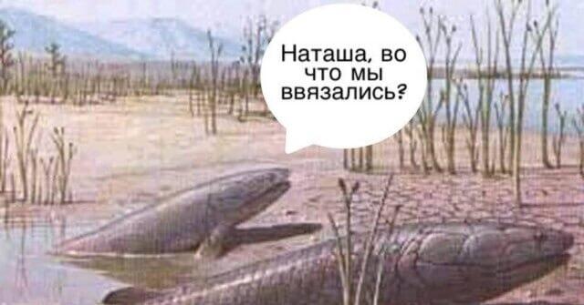 Мем от Коржик