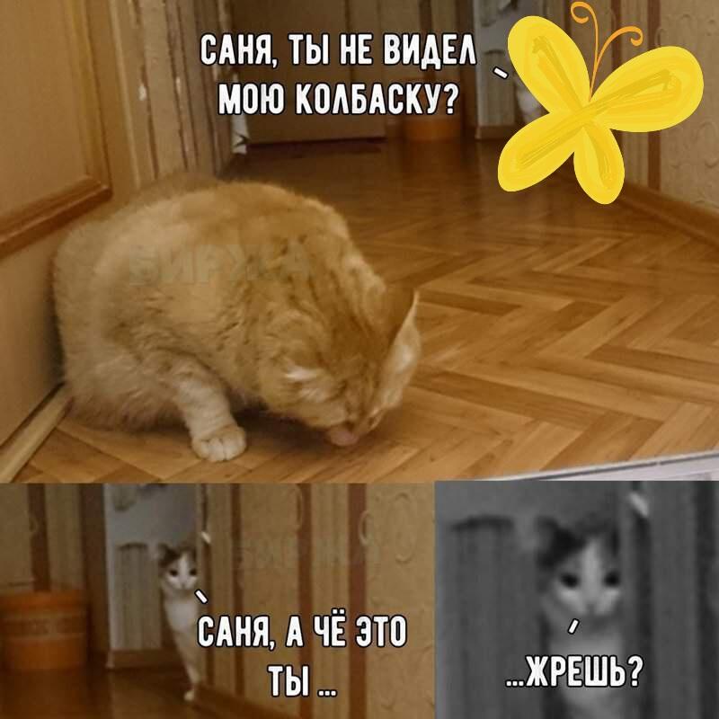Мем от Nen_ket228