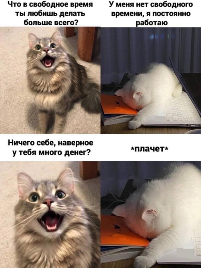 (Шмыг)