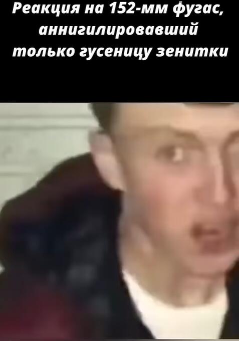 Мем от мемный лев(мне 13!)