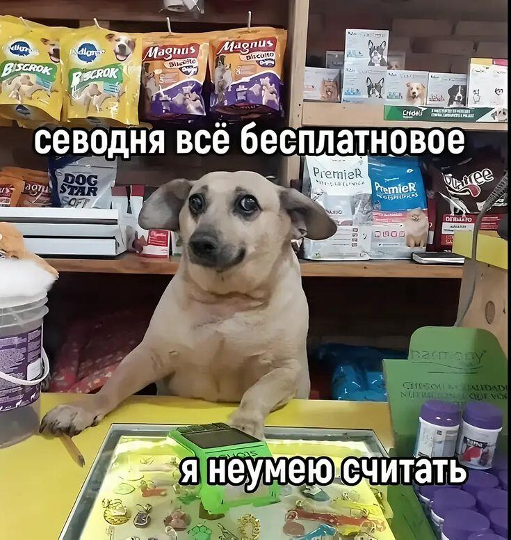 Мем от Лампчка (бебебеПЛМ)
